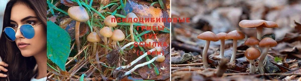 меф Аркадак