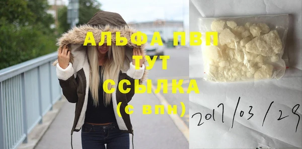 СК Арсеньев