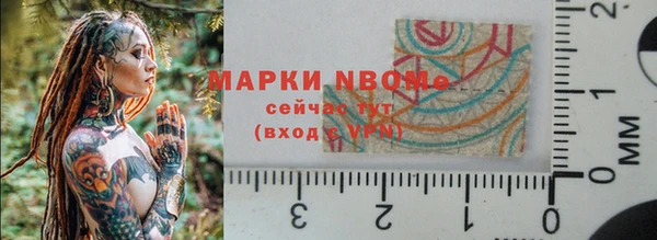 СК Арсеньев