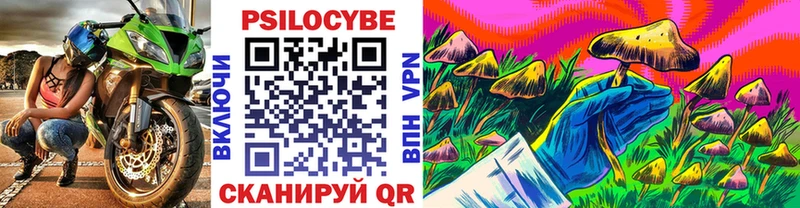 Псилоцибиновые грибы ЛСД  Порхов 